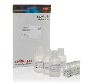 Invitrogen™ CellEvent™ Senescence Green Flow Cytometry Assay Kit