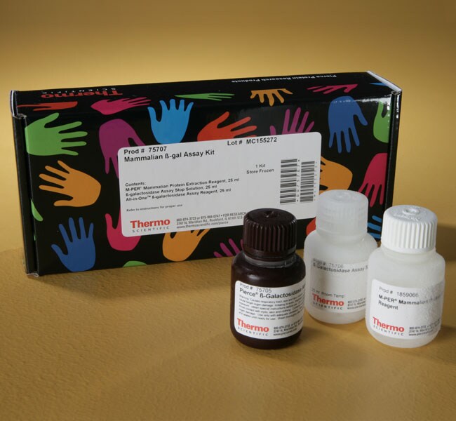 Thermo Scientific™ Mammalian beta-Galactosidase Assay Kit