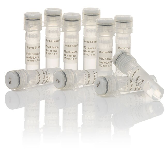 Thermo Scientific™ IPTG Solution, ready-to-use, 	10 x 1.5 mL 