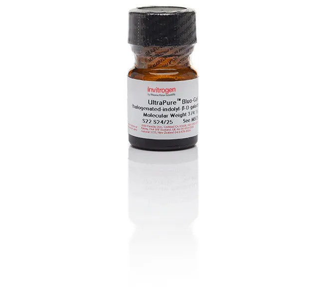 Invitrogen™ Bluo-Gal, 1g 
