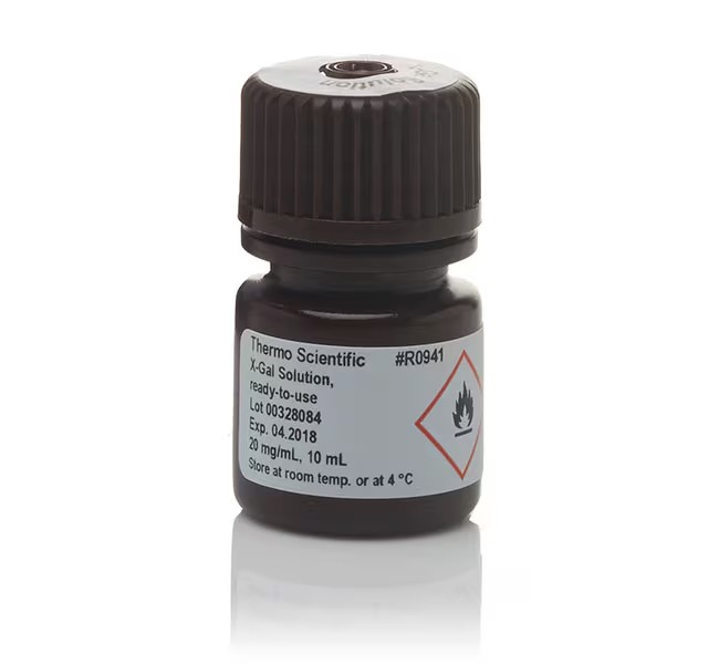 Thermo Scientific™ X-Gal Solution, ready-to-use, 20mg/mg, 10 mL