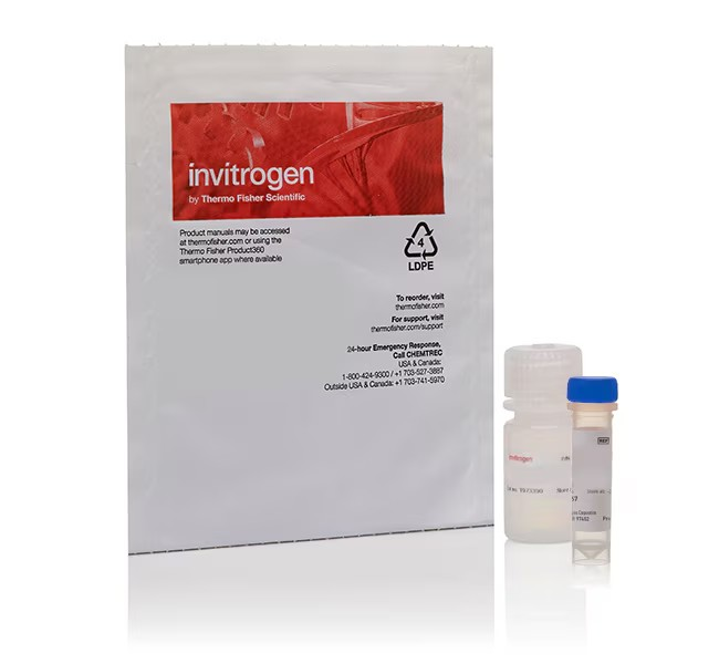 Invitrogen™ FluoReporter™ lacZ/Galactosidase Quantitation Kit 