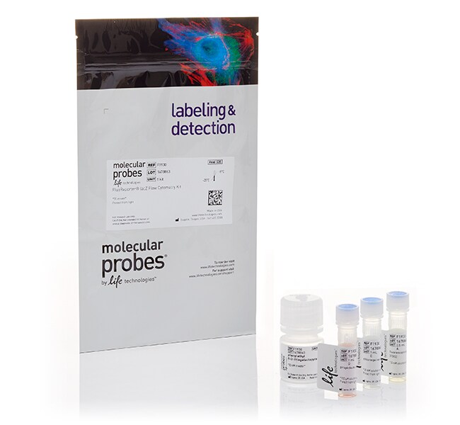 Invitrogen™ FluoReporter™ lacZ Flow Cytometry Kit 