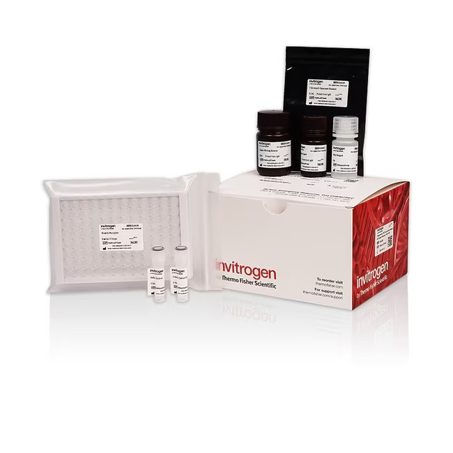 Invitrogen™ Thiobarbituric Acid Reactants (TBARS) Colorimetric Assay Kit, 96 Tests 