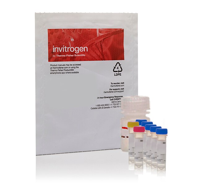 Invitrogen™ EnzChek™ Gelatinase/Collagenase Assay Kit, 250-2,000 assays 
