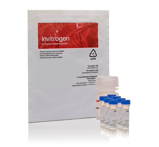 Invitrogen™ EnzChek™ Ultra Amylase Assay Kit, 500 assays (100 μL each, 96-well format) 