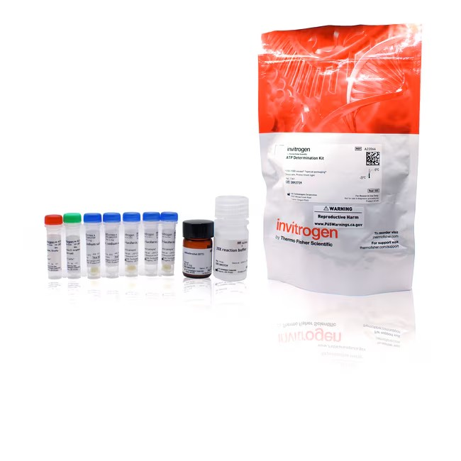 Invitrogen™ ATP Determination Kit, 200–1000 assays 