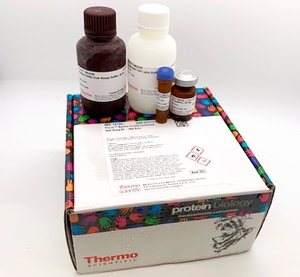 Thermo Scientific™ Pierce™ Renilla-Firefly Luciferase Dual Assay Kit