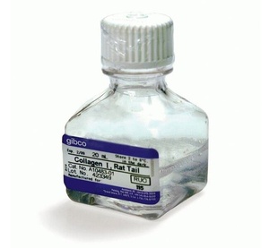 Gibco™ Collagen I, rat tail, 25 mL 