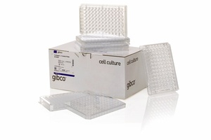 Gibco™ Collagen I, Coated Plates