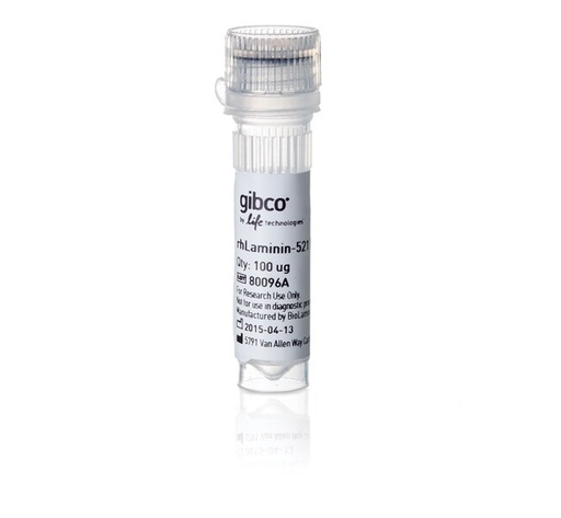 [A29248] Gibco™ Recombinant Human Laminin 521 (rhLaminin-521) (100 μg)