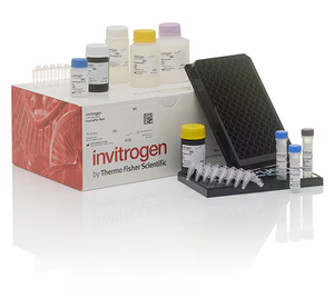 Invitrogen™ ProcartaPlex™ Mouse Essential Th1/Th2 Cytokine Panel, 6plex, 96 Tests 