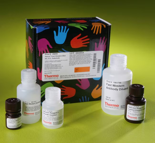 Thermo Scientific™ Pierce™ Fast Western Blot Kit, ECL Substrate