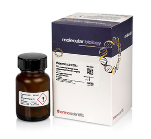 Thermo Scientific™ DTT (dithiothreitol)