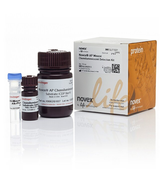 Invitrogen™ Novex™ AP Mouse Chemiluminescent Detection Kit