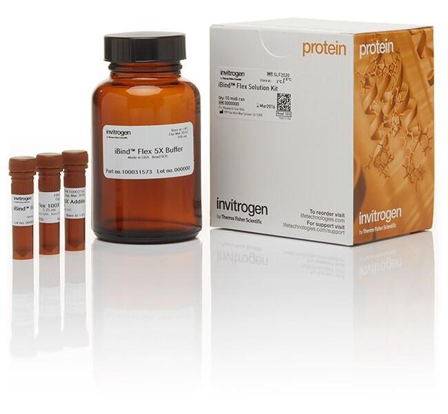 Invitrogen™ iBind™ Flex Solution Kit