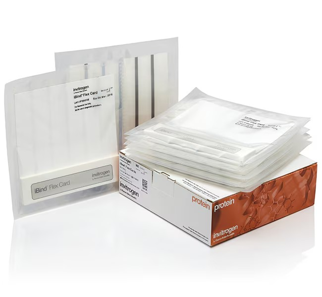 Invitrogen™ iBind™ Flex Cards