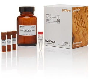Invitrogen™ iBind™ Flex Fluorescent Detection (FD) Solution Kit 