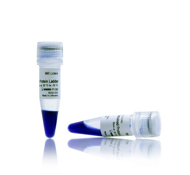 Invitrogen™ iBright™ Prestained Protein Ladder