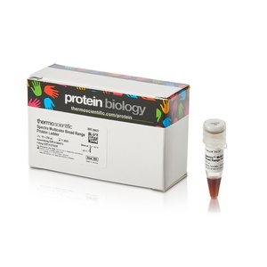 Thermo Scientific™ Spectra™ Multicolor Broad Range Protein Ladder