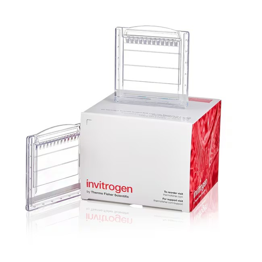 [XP04120BOX] Invitrogen™ Novex™ Tris-Glycine Mini Protein Gels, 4–12%, 1.0 mm, WedgeWell™ Format (10 Wells)