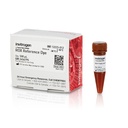 Invitrogen™ ROX Reference Dye, 500 μL