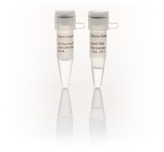 Thermo Scientific™ Uracil-DNA Glycosylase (1 U/μL)