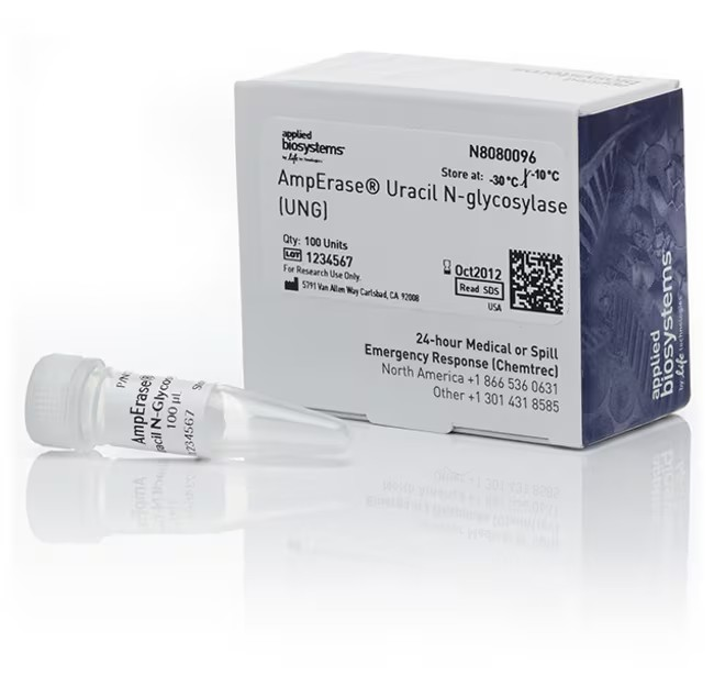 Applied Biosystems™ AmpErase™ Uracil N-Glycosylase (UNG), 100 Units
