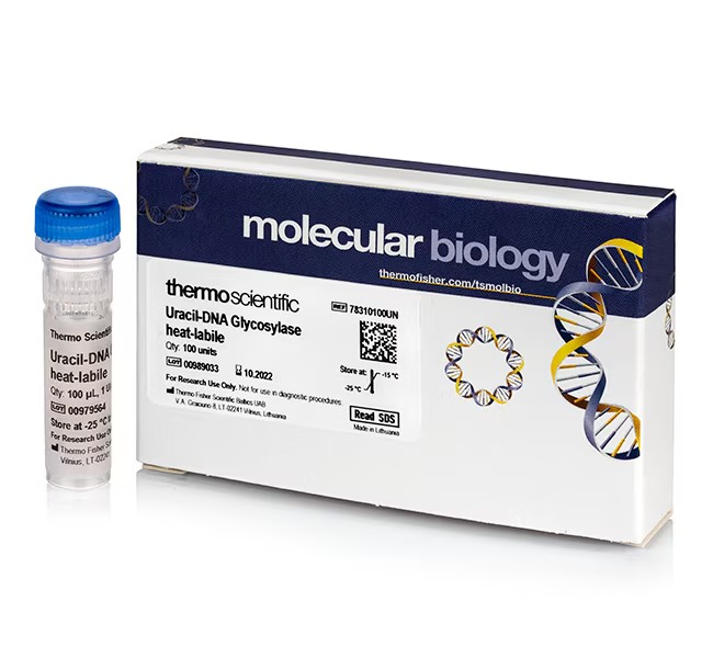 Thermo Scientific™ Uracil-DNA Glycosylase, heat-labile, 100 Units