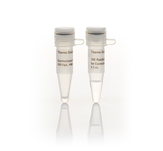 Thermo Scientific™ Exonuclease III (200 U/μL) - 4,000 units