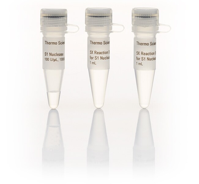 Thermo Scientific™ S1 Nuclease (100 U/μL)