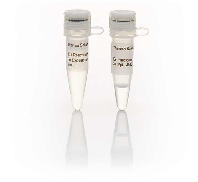 Thermo Scientific™ Exonuclease I (20 U/μL)