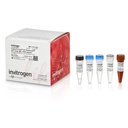 Invitrogen™ SuperScript™ III Platinum™ One-Step qRT-PCR Kit