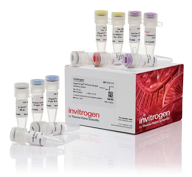 Invitrogen™ SuperScript™ IV First-Strand Synthesis System