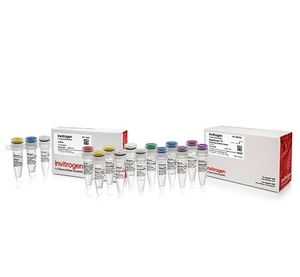 Invitrogen™ SuperScript™ IV First-Strand Synthesis System