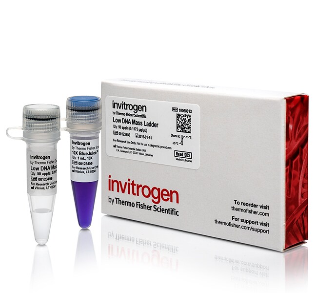Invitrogen™ Low DNA Mass Ladder, 100 bp, With 10X BlueJuice Gel Loading Buffer 