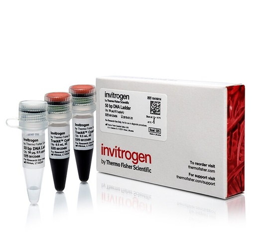 [10416014] Invitrogen™ 50 bp DNA Ladder, 50 μg with 6X TrackIt Cyan/Orange Loading Buffer