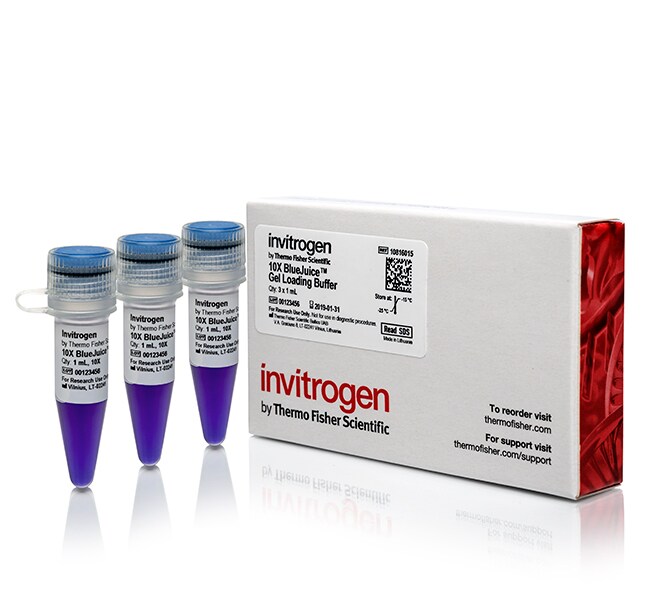 Invitrogen™ BlueJuice™ Gel Loading Buffer (10X), 3 x 1mL 