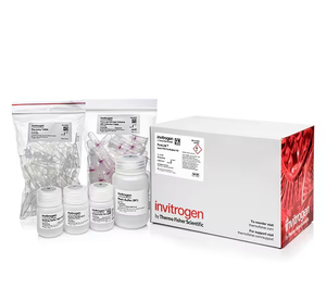 Invitrogen™ PureLink™ PCR Purification Kit