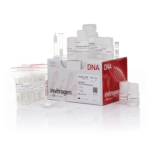 Invitrogen™ PureLink™ HiPure Plasmid Miniprep Kit