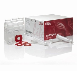 Invitrogen™ PureLink™ HiPure Plasmid Filter Midiprep Kit