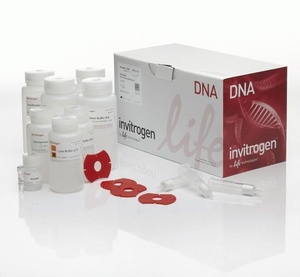 Invitrogen™ PureLink™ HiPure Plasmid Midiprep Kit