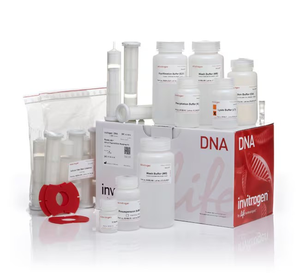 Invitrogen™ PureLink™ HiPure Plasmid Filter Maxiprep Kit