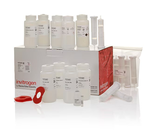 Invitrogen™ PureLink™ HiPure Plasmid Filter Maxiprep Kit