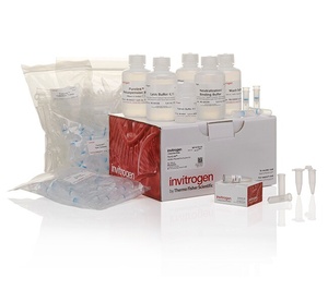 Invitrogen™ PureLink™ HQ Mini Plasmid DNA Purification Kit, 100 Preps 