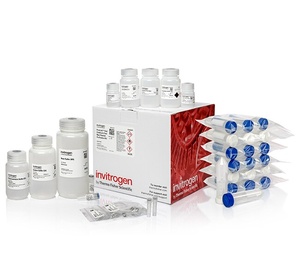 Invitrogen™ PureLink™ Expi Endotoxin-Free Maxi Plasmid Purification Kit