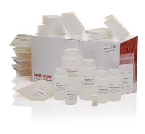 Invitrogen™ PureLink™ Pro Quick96 Plasmid Purification Kit