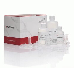 Invitrogen™ PureLink™ RNA Purification Buffer