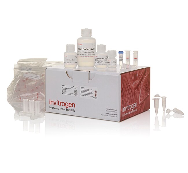 Invitrogen™ PureLink™ FFPE RNA Isolation Kit, 50 Preps