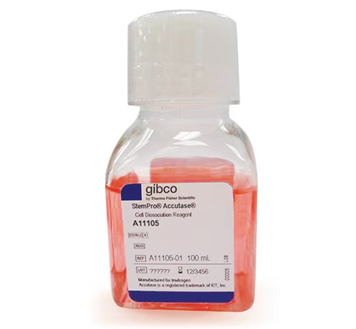 [A1110501] Gibco™ StemPro™ Accutase™ Cell Dissociation Reagent, 100mL